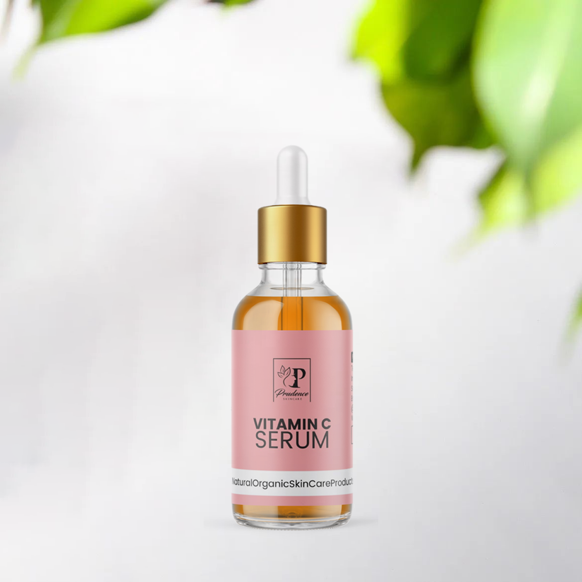 image.png?v=1699085952&width=1920